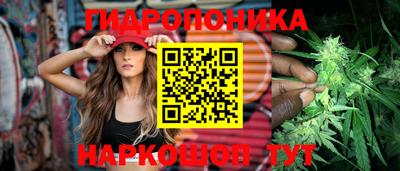apvp Кандалакша