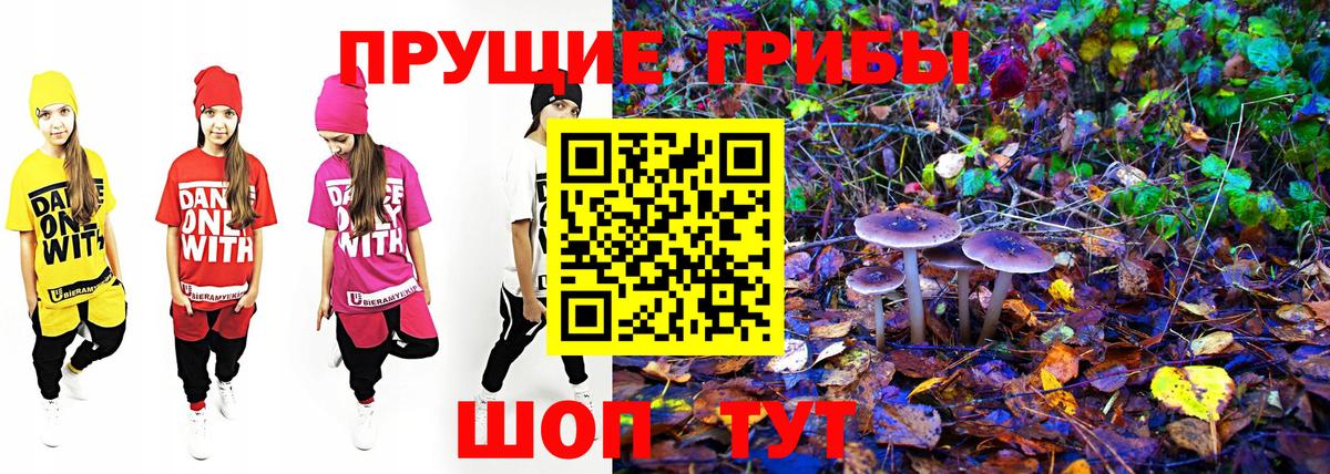 Галлюциногенные грибы MAGIC MUSHROOMS Котлас